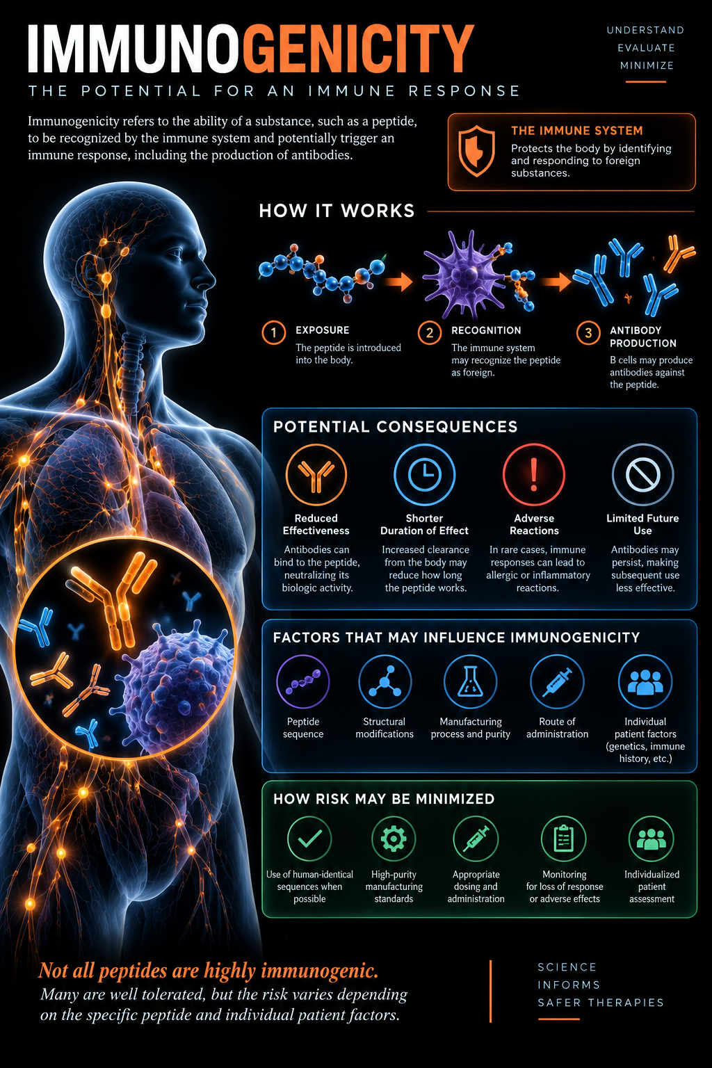 Immunogenicity infographic showing how immune response works through exposure, recognition and antibody production, potential consequences including reduced effectiveness and adverse reactions, factors that may influence immunogenicity, and how risk may be minimized