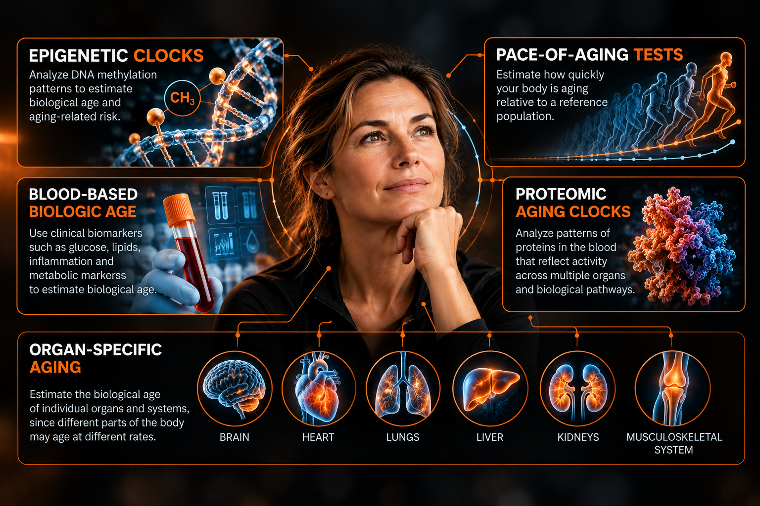 Infographic of a woman surrounded by five approaches to estimating biological age: epigenetic clocks that analyze DNA methylation, pace-of-aging tests, blood-based biologic age from clinical biomarkers, proteomic aging clocks, and organ-specific aging of the brain, heart, lungs, liver, kidneys and musculoskeletal system