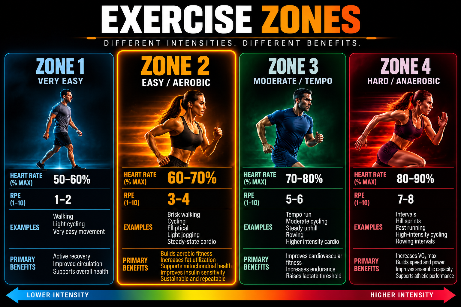 Infographic: Exercise zones 1–4 — different intensities, different benefits.