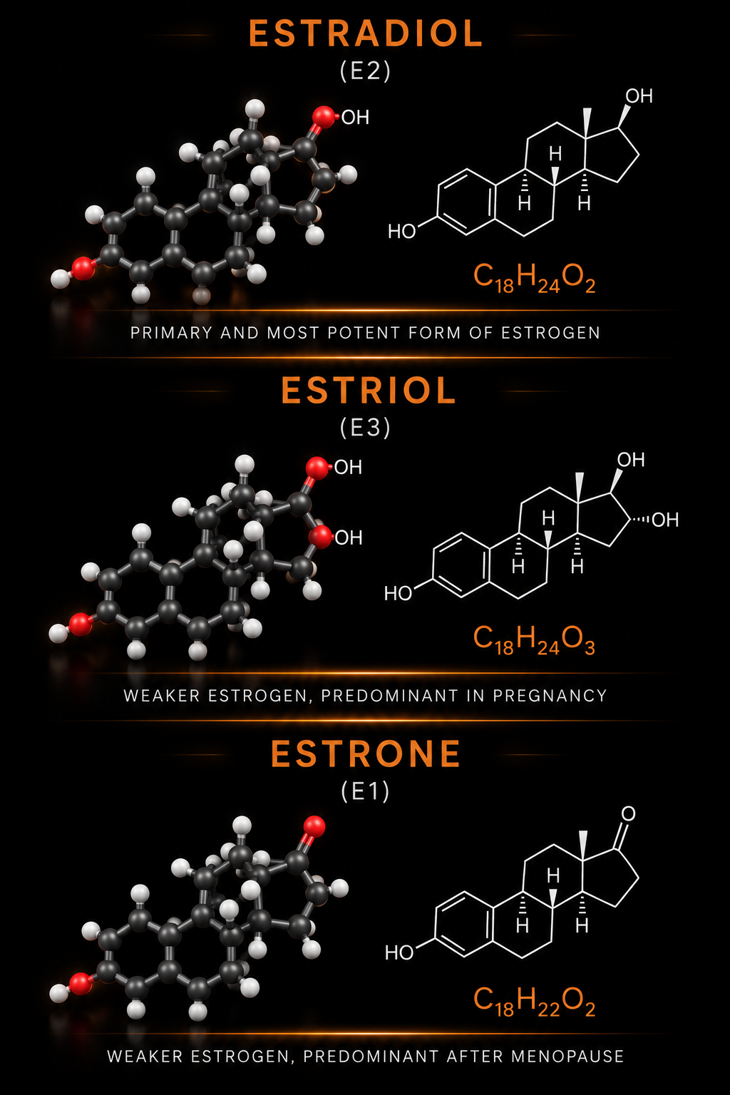 Molecular structure diagrams of estradiol (E2), estriol (E3) and estrone (E1) showing estradiol as the primary and most potent form of estrogen, estriol as the weaker estrogen predominant in pregnancy, and estrone as the weaker estrogen predominant after menopause